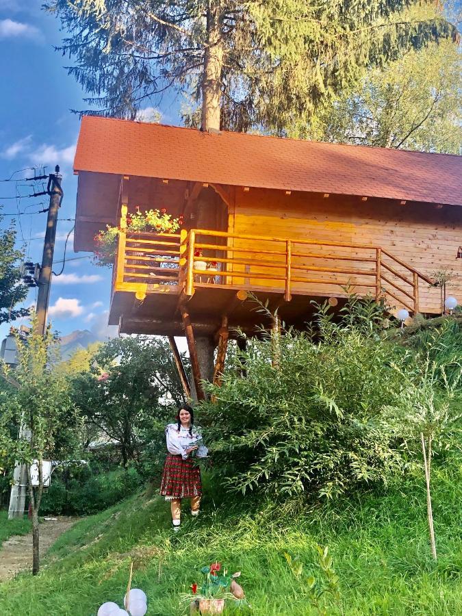 Domeniul Horj Casa Din Deal Moisei Extérieur photo