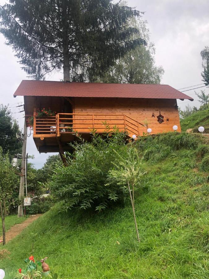 Domeniul Horj Casa Din Deal Moisei Extérieur photo