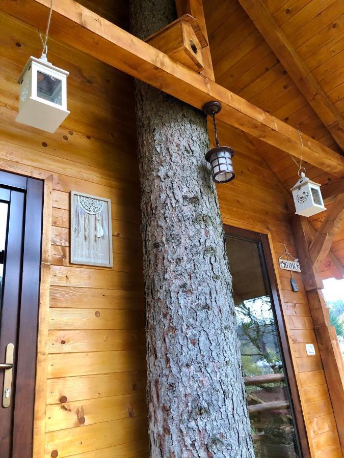 Domeniul Horj Casa Din Deal Moisei Extérieur photo