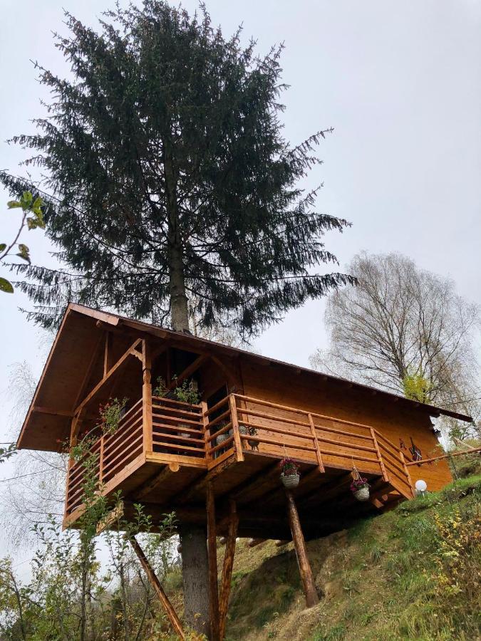 Domeniul Horj Casa Din Deal Moisei Extérieur photo