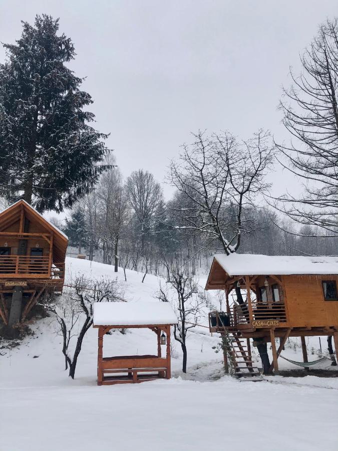 Domeniul Horj Casa Din Deal Moisei Extérieur photo